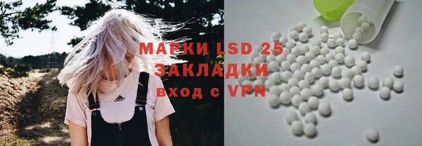 дживик Елабуга