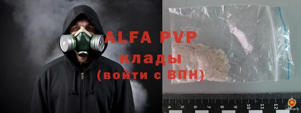 дживик Елабуга