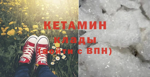 стафф Заводоуковск