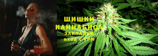 прущая мука Ельня