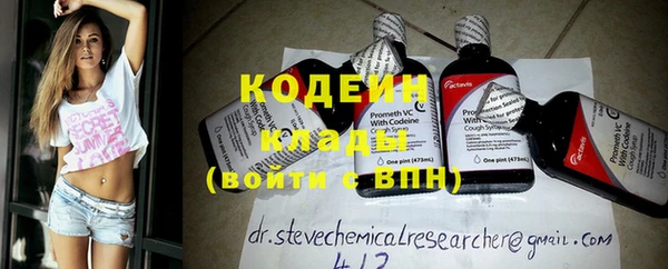 стафф Заводоуковск